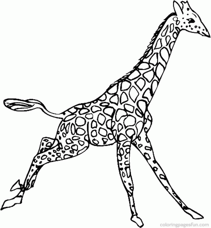 Giraffe Colouring Pictures - Coloring Home