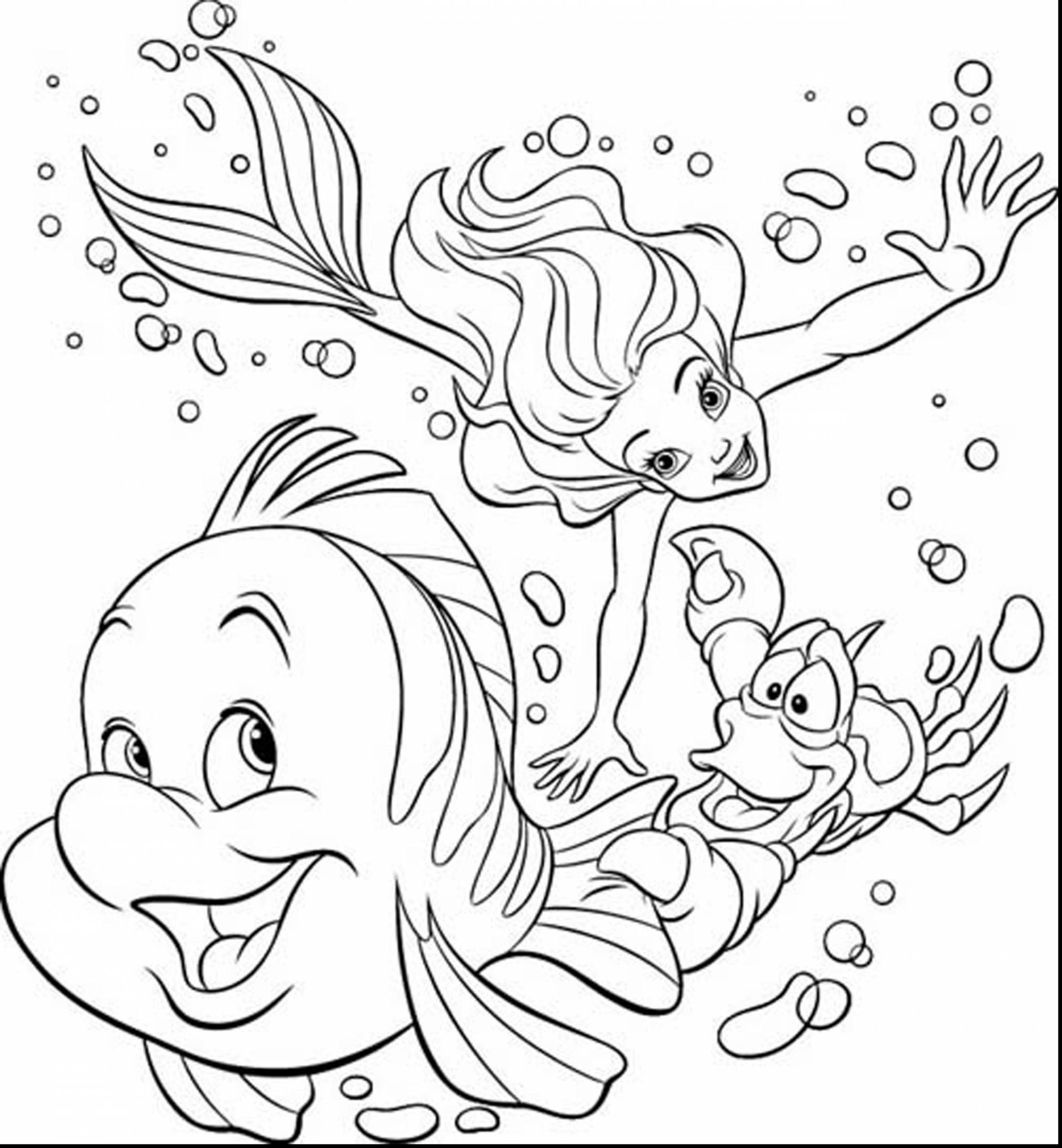 coloring pictures to copy Coloring pages sheep