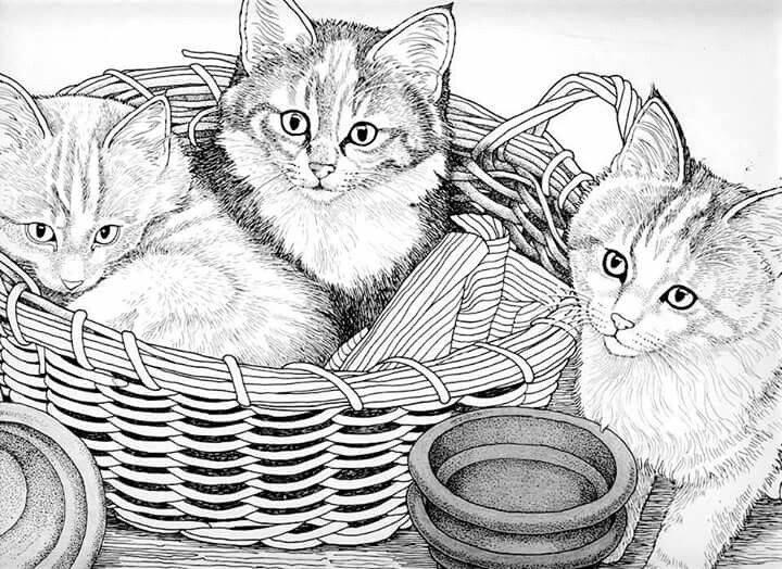autumn cat coloring page Autumn coloring page cat face leaf – coloring page