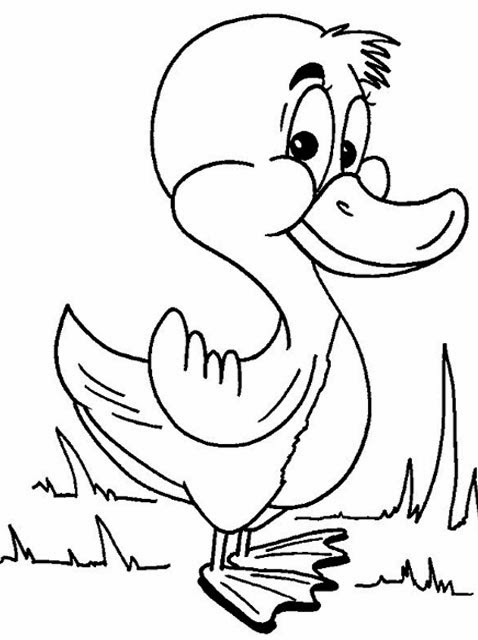yellow duck coloring page Coloring colouring kids pages duck print color printable drawing dippy bird animal getdrawings use bestcoloringpagesforkids search clipart