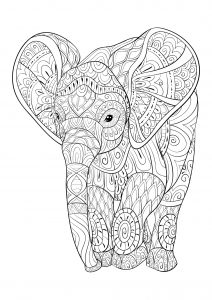 coloring pages elephant hard Get this hard elephant coloring pages for adults 13579
