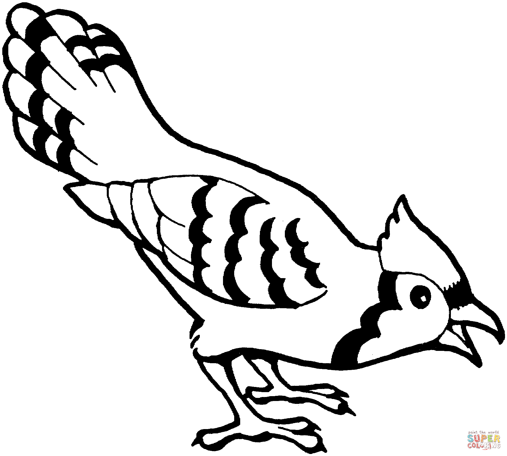 Blue Jay Bird coloring page | Free Printable Coloring Pages