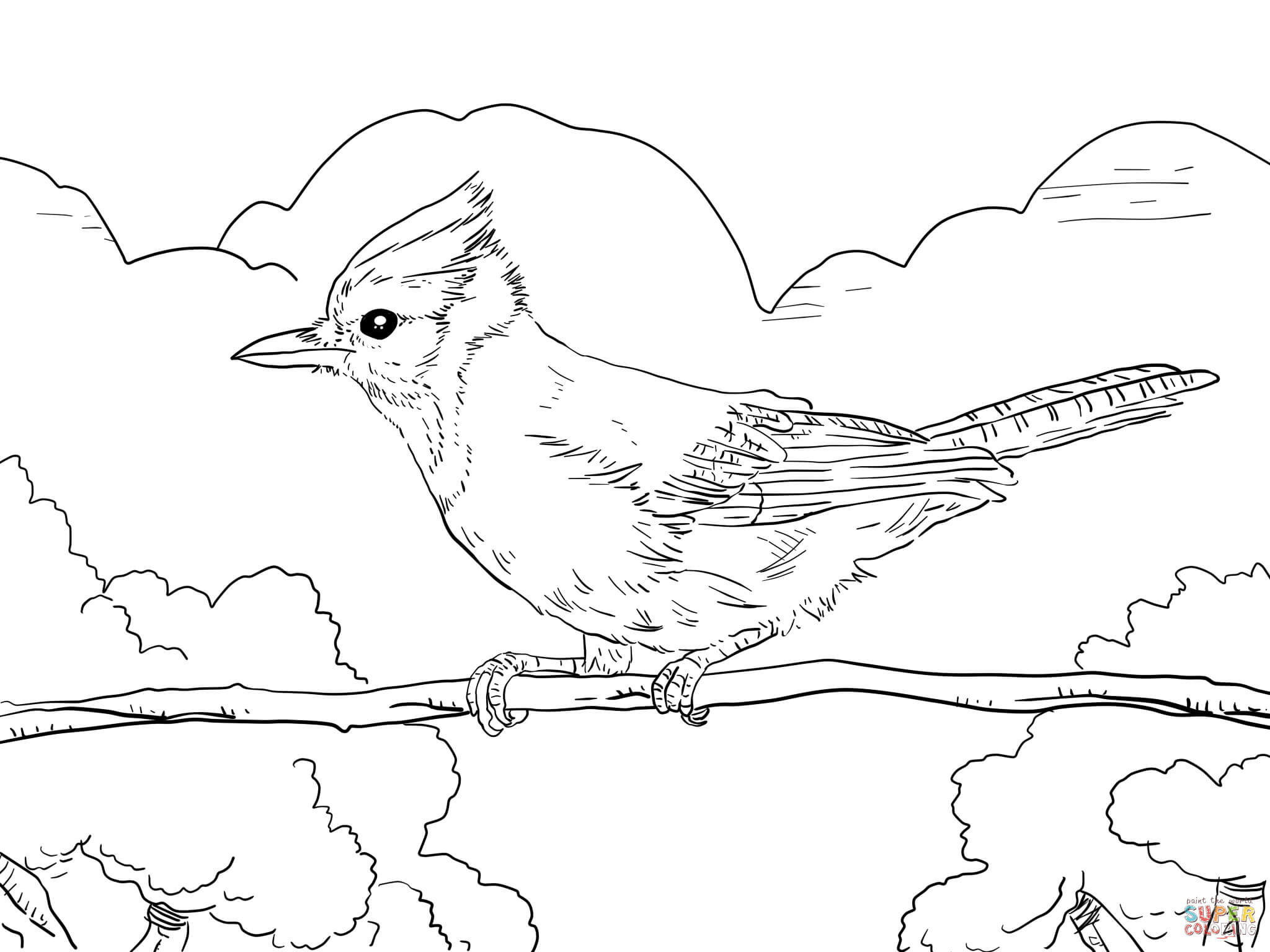 coloring pages blue jay Coloring pages archives ⋆ miniature masterminds